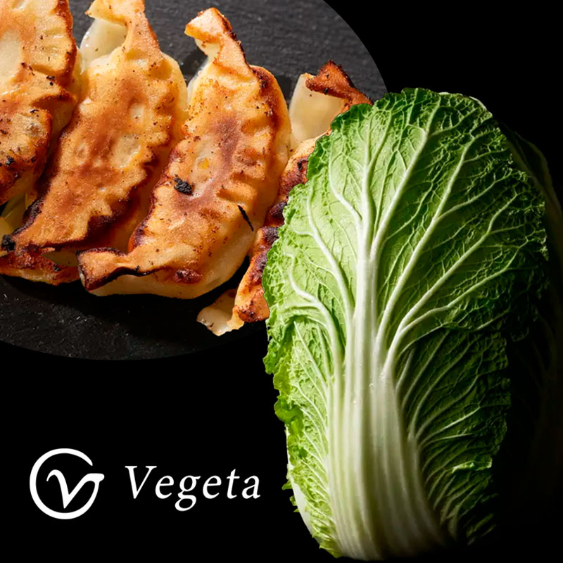 Vegeta 株式会社