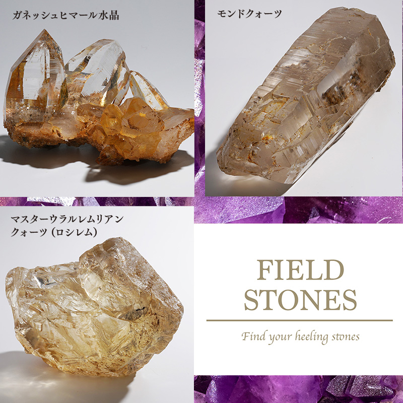株式会社FieldStones